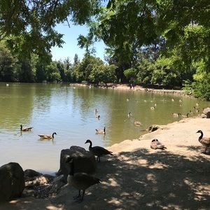 Meet your Posher, Nhung